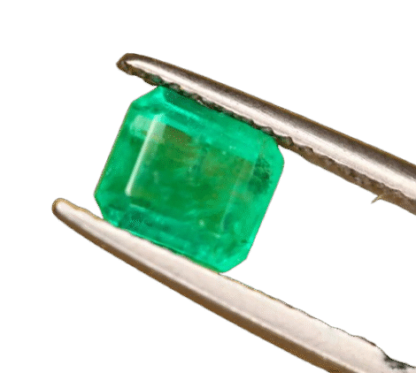 ar1-removebg-preview